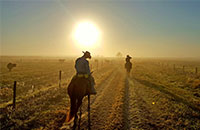 Cowboy riding at sunset on Adams Ranch