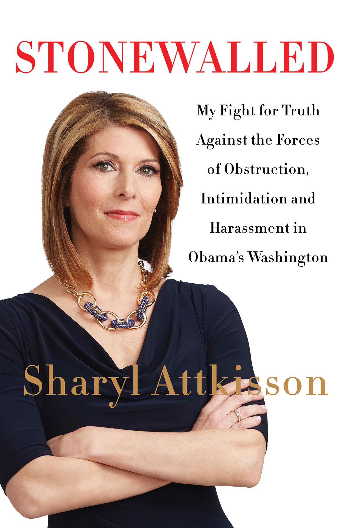 Stonewalled: My Fight for Truth Against the Forces of Obstruction, Intimidation and Harassment in Obama’s Washington