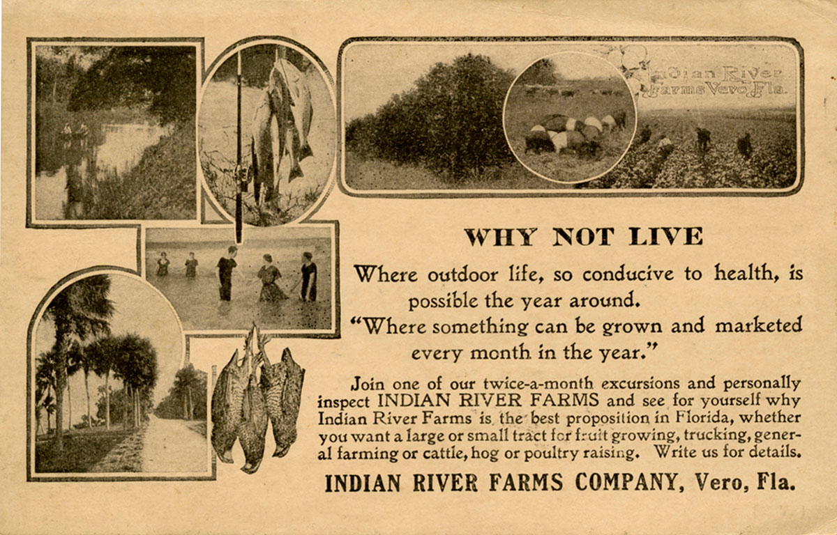 Indian River Farms Co. promotional material