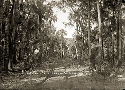 Jungle Trail was created in the 1920s