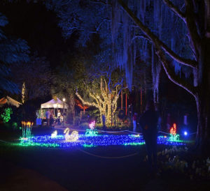 Spectacular scenes handcrafted by volunteers all year long come to life in Heathcote Botanical Gardens’ Garden of Lights.