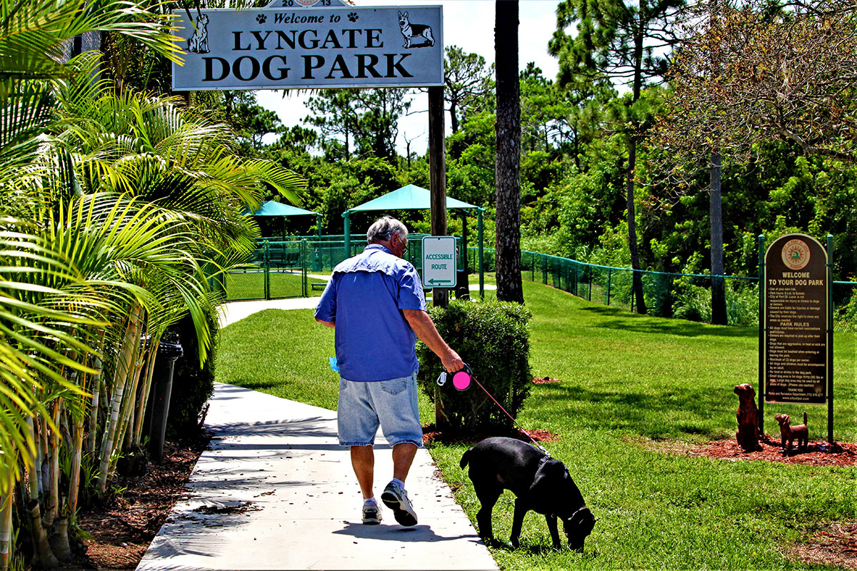 Lyngate Dog Park