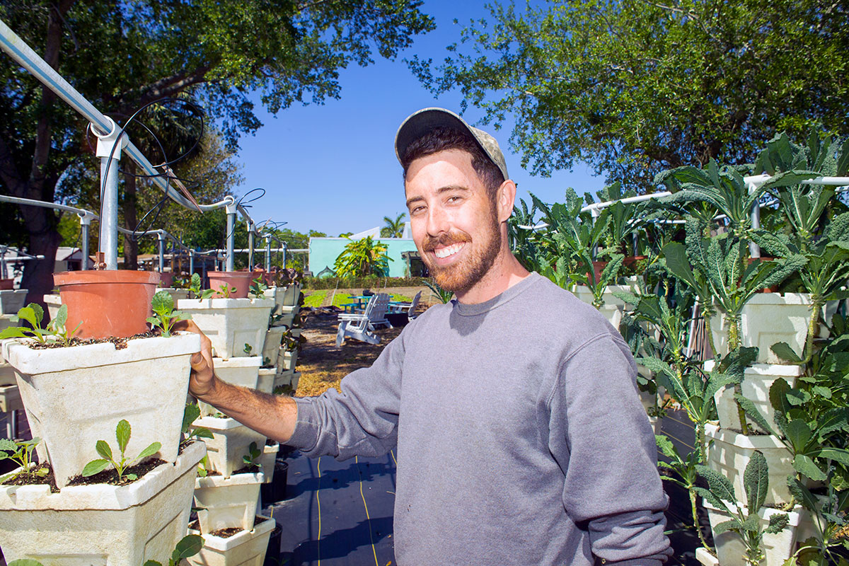 Read more about the article The URBAN FARMER