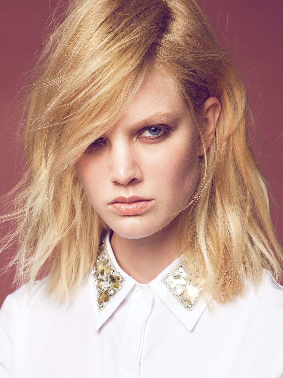 Read more about the article The MODEL
