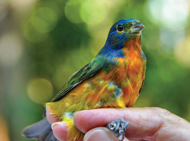 Read more about the article Nature center an urban oasis