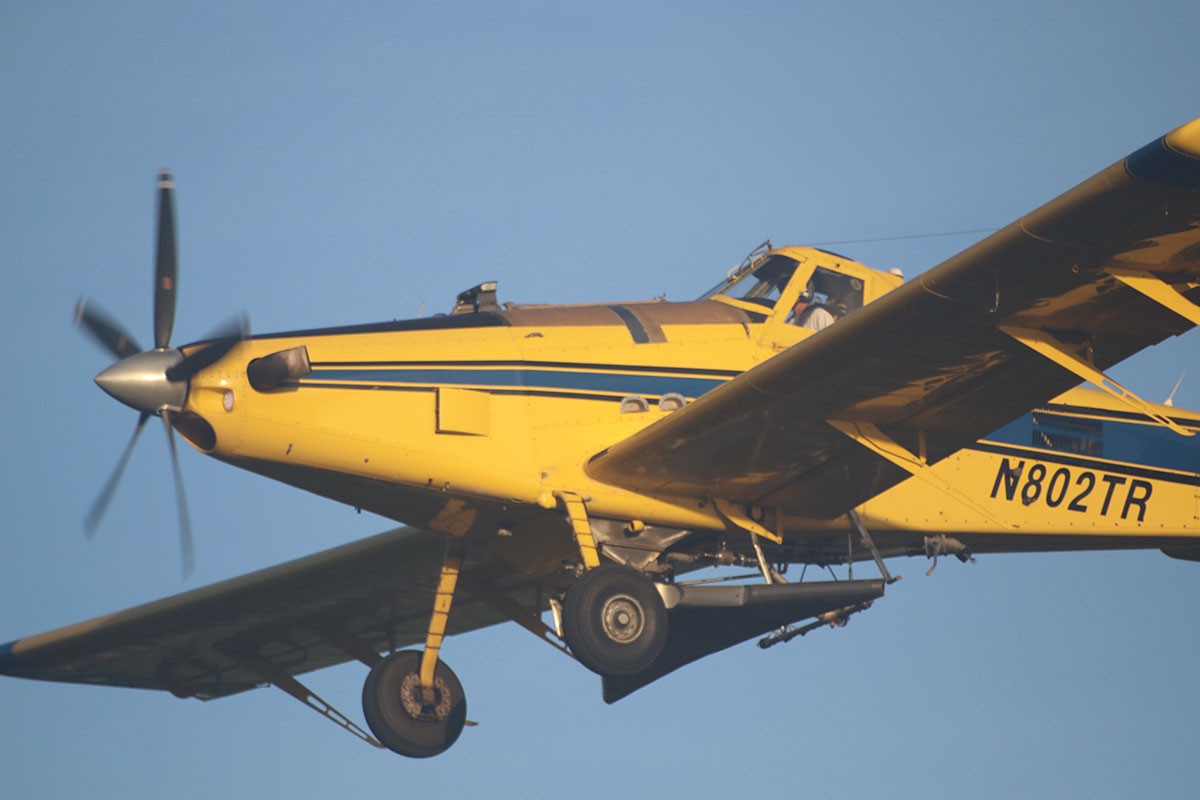 Pilot Mark Howell flies the distinctive yellow plane