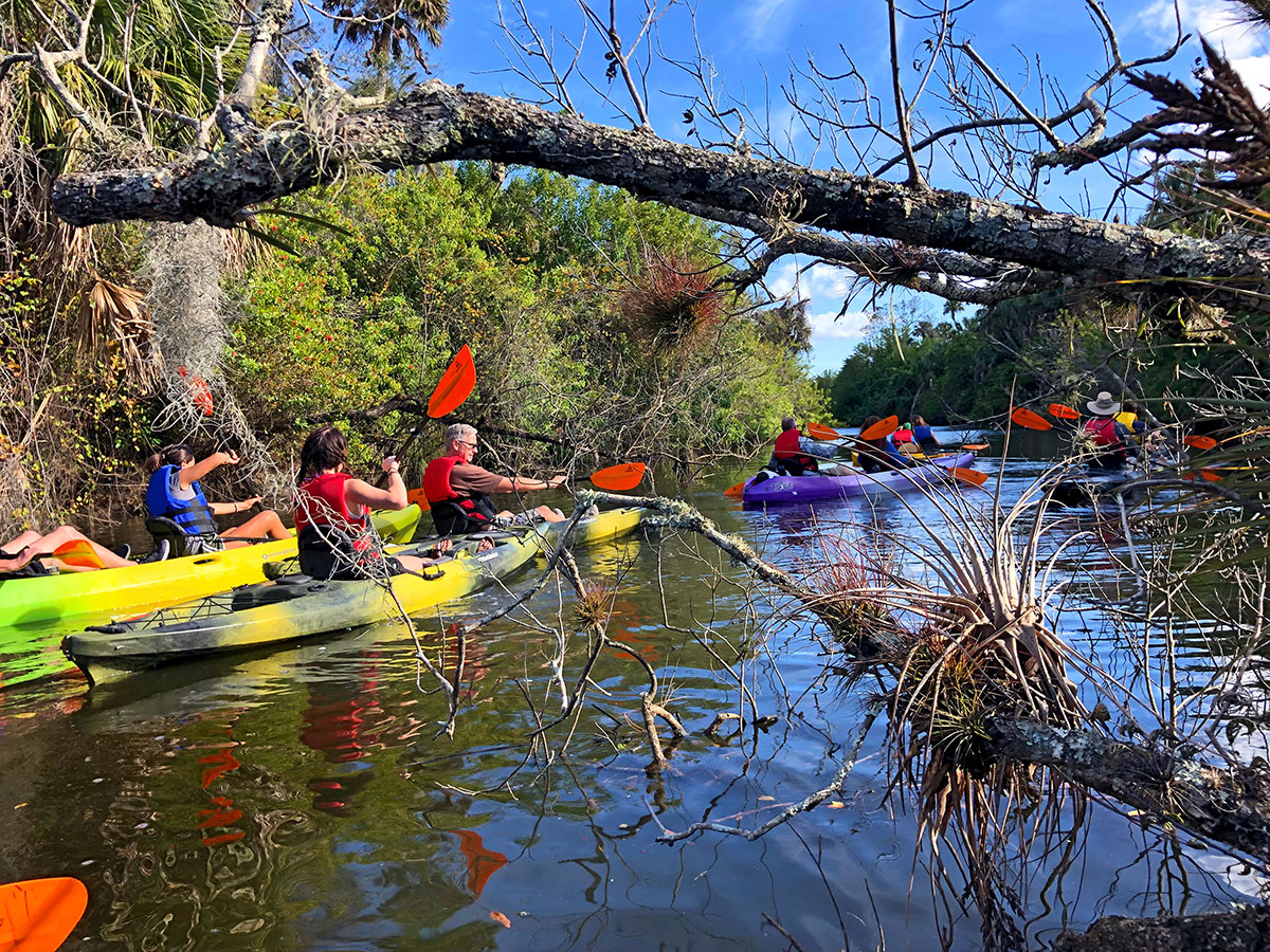 kayak or canoe the North Fork of the St. Lucie River