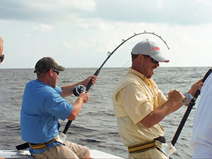 Some exciting rod-bending action on board Last Mango Fishing Charters