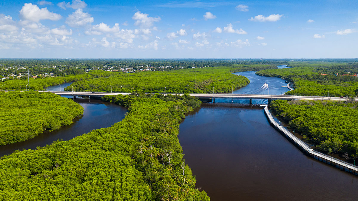 North Fork of the St. Lucie River