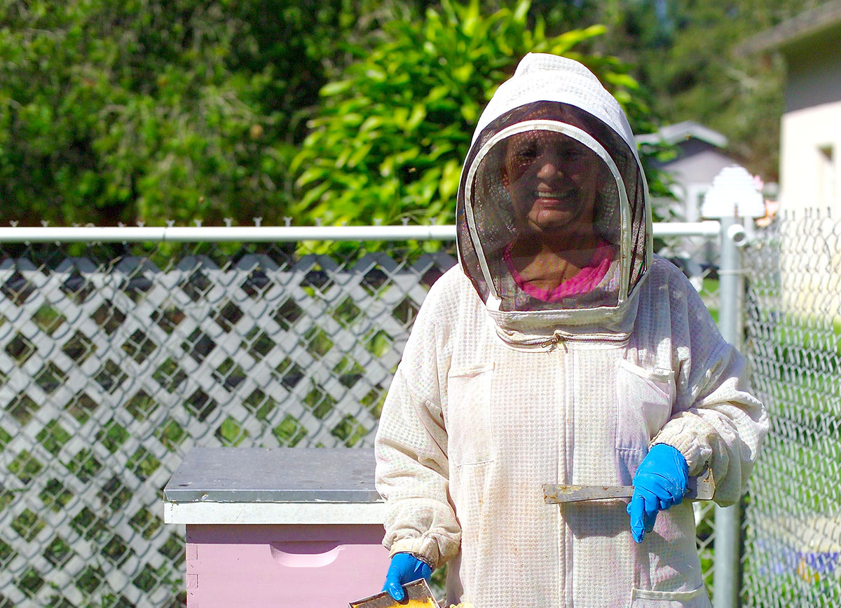 Read more about the article The BEEKEEPER