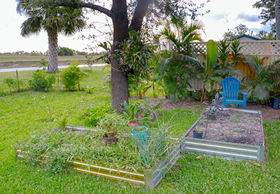 Backyard gardening