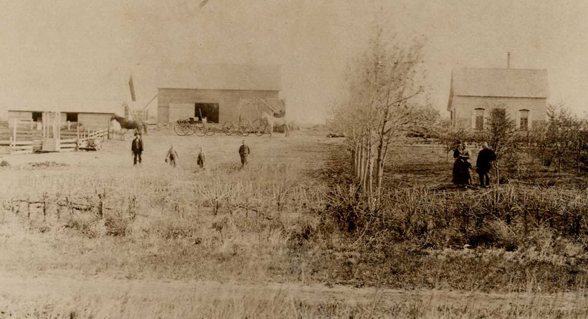The Cornelius Enns farm as it appeared outside Inman, Kansas, about 1883