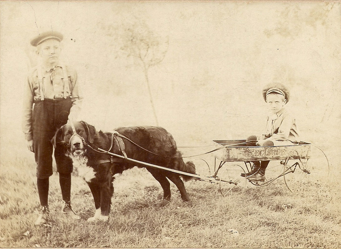 Harry Enns with brother Putz and Bowser the dog about 1902