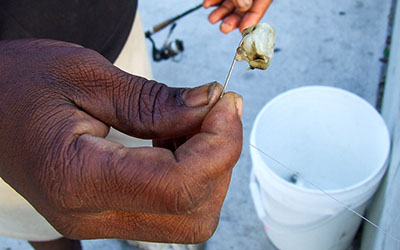 Once a fish is caught and the hook is removed