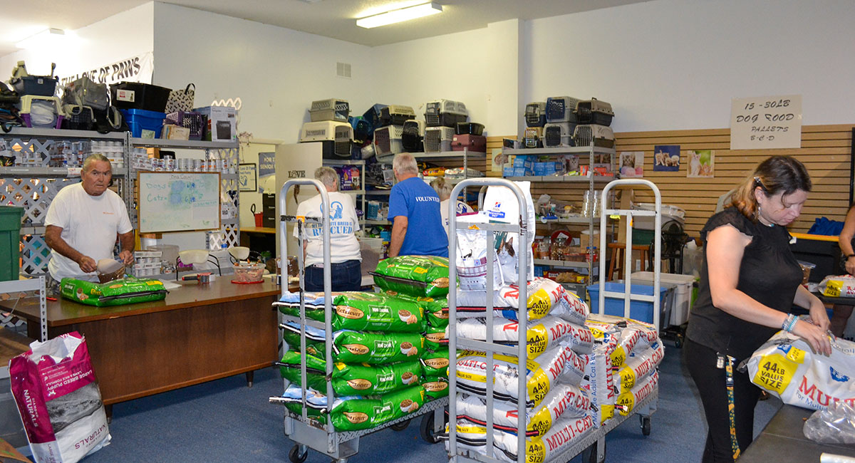 Volunteers donate their time each Monday to bag free pet food which will be delivered to local seniors and veterans.
