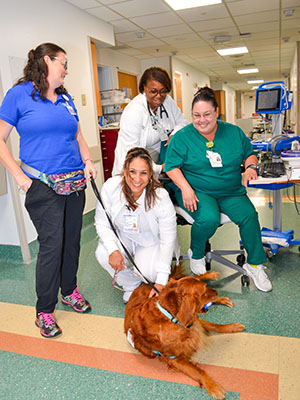 Anderson-Searle brings Solaris to visit hospital staffers