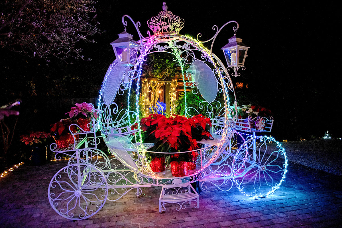 What’s better than a magical carriage? A carriage of lights and flowers.