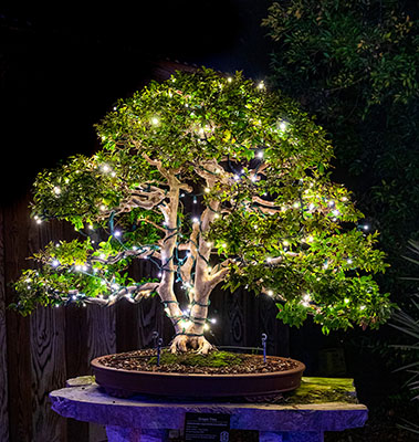 HEATHCOTE BOTANICAL GARDENS