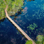 Spruce Pine Bluff features a wooden boardwalk which winds gracefully through the trees and finally extends over this peaceful water.