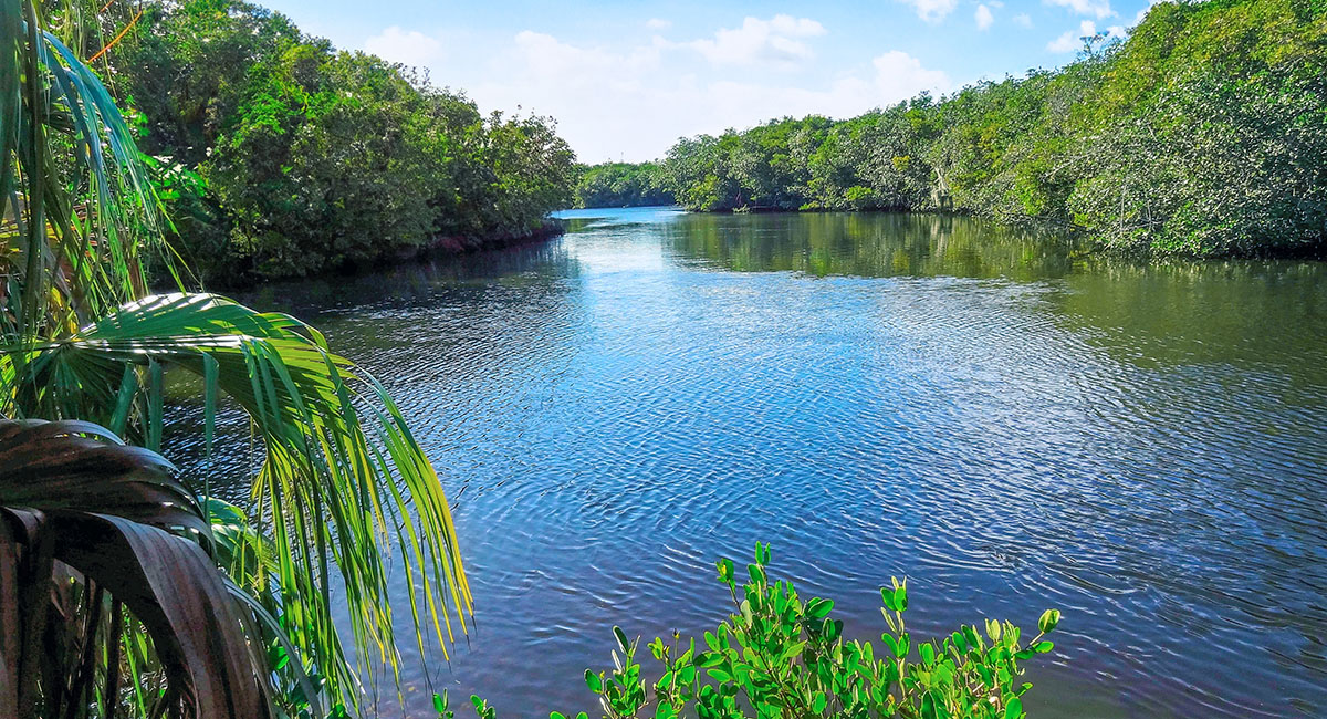 Read more about the article Our Town – Spring 2026